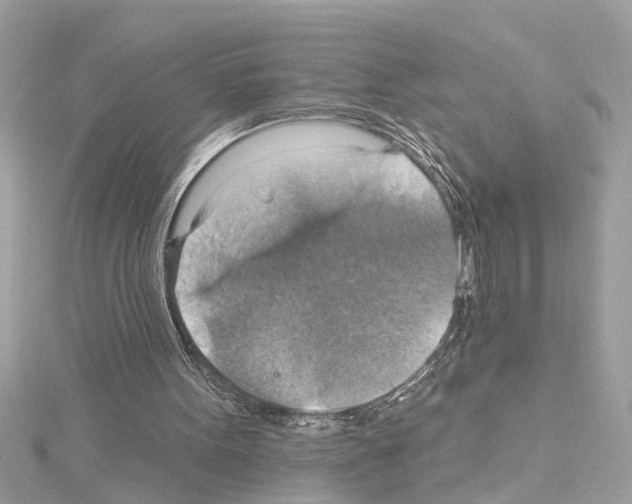 X0000114420099200911271605