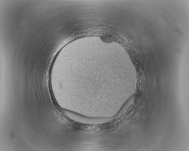 X0000114420100200911271605