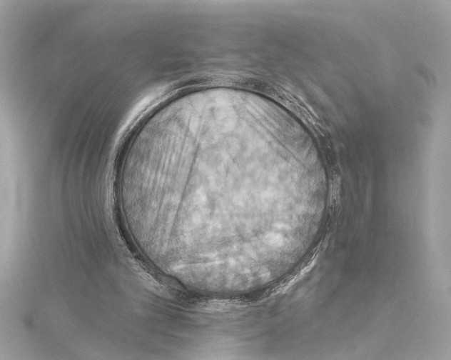 X0000114420101200911271605