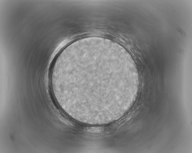 X0000114420102200911271605
