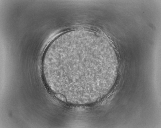X0000114420103200911271605