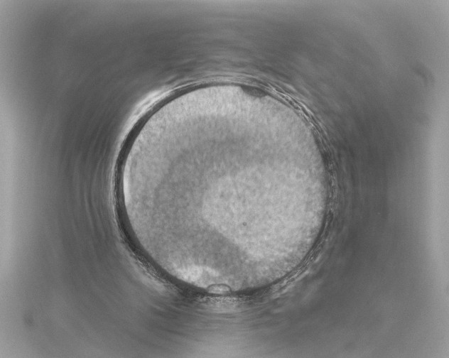 X0000114420104200911271605