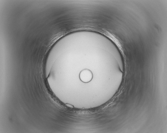 X0000114420105200911271605