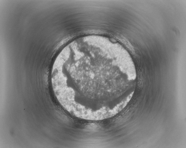 X0000114420111200911271605