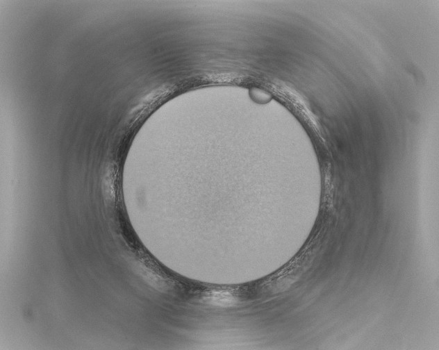 X0000114420114200911271605