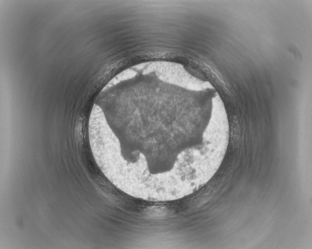 X0000114420119200911271605
