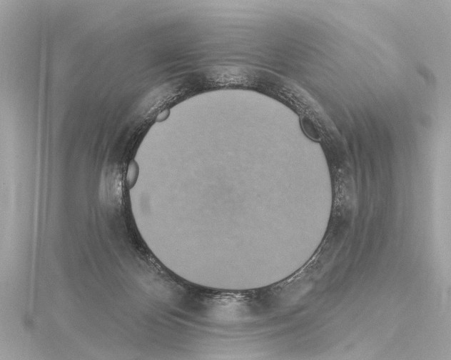 X0000114420124200911271605