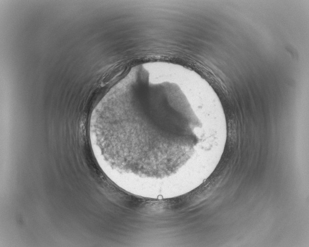 X0000114420127200911271605
