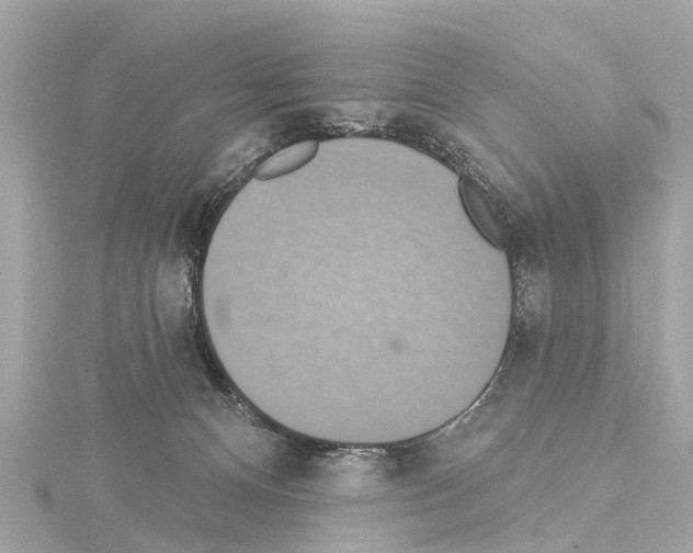 X0000114420128200911271605