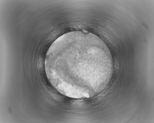 X0000114420132200911271605