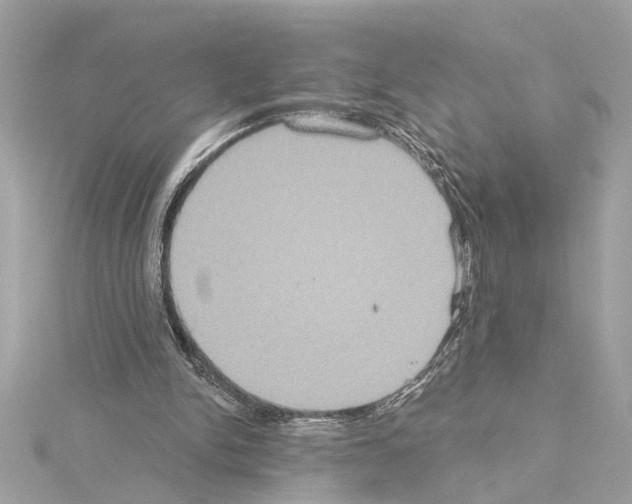 X0000114420150200911271604
