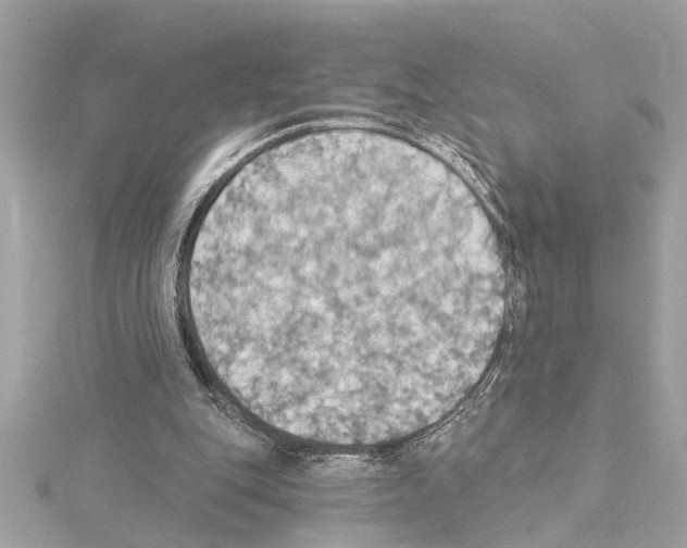 X0000114420151200911271604