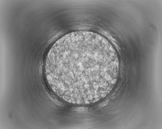 X0000114420153200911271604