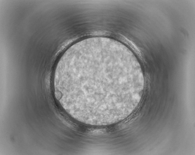 X0000114420155200911271604