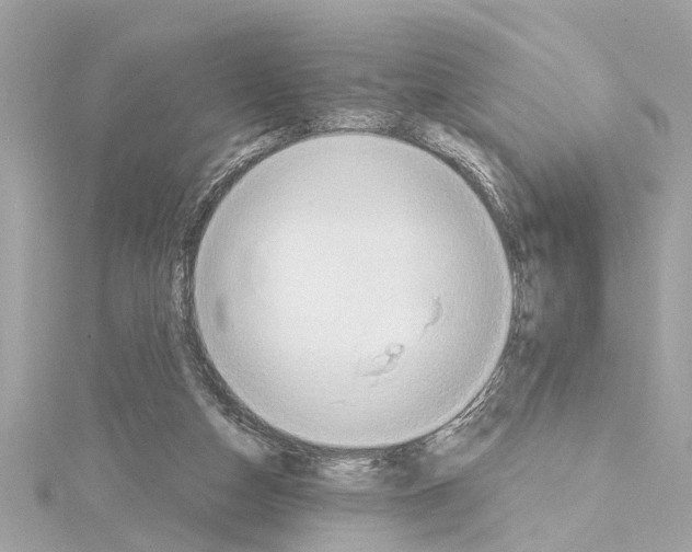 X0000114420162200911271604