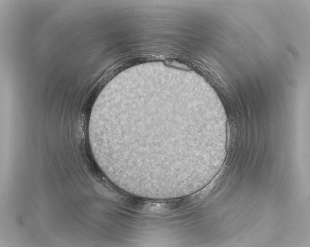 X0000114420174200911271604