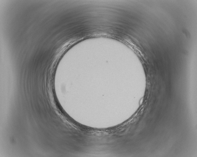 X0000114420193200911271604