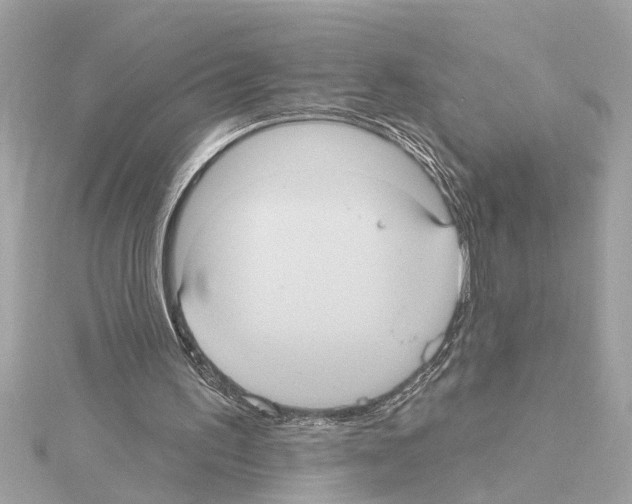 X0000114420195200911271604