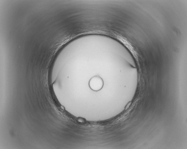 X0000114420201200911271604