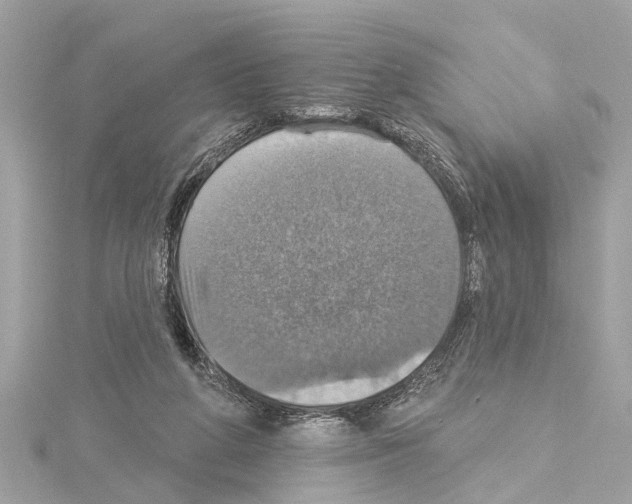 X0000114420210200911271604