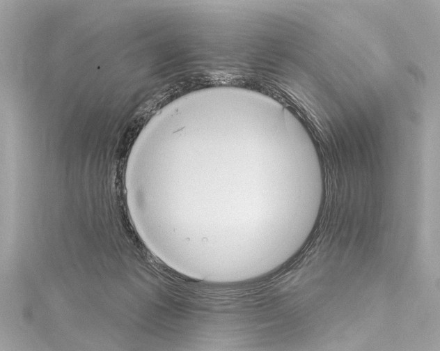 X0000114420221200911271603