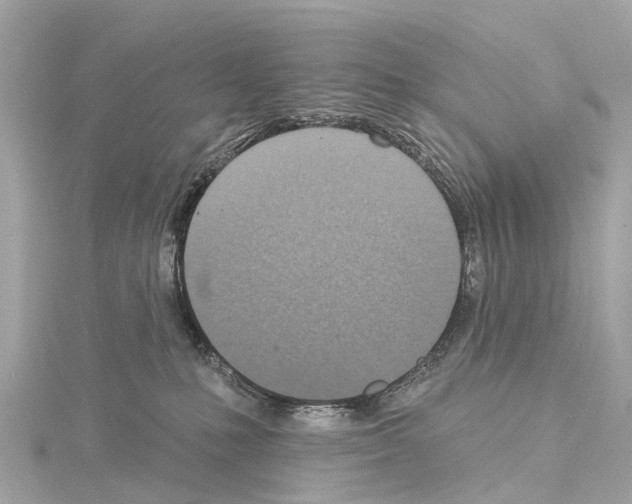 X0000114420231200911271603