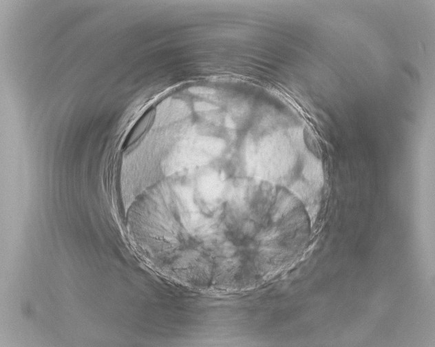 X0000114420241200911271602