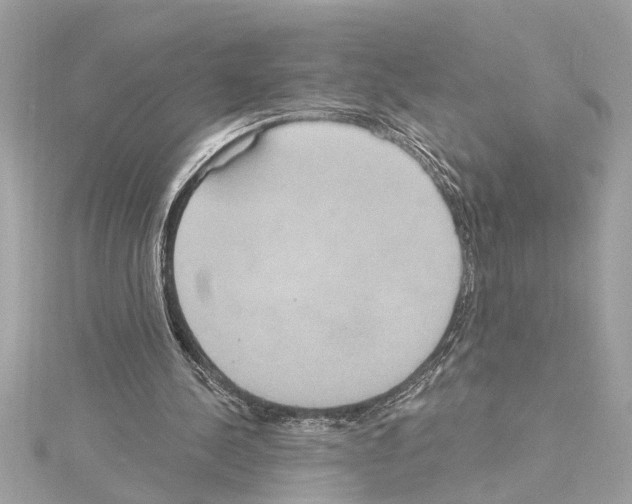 X0000114420244200911271602
