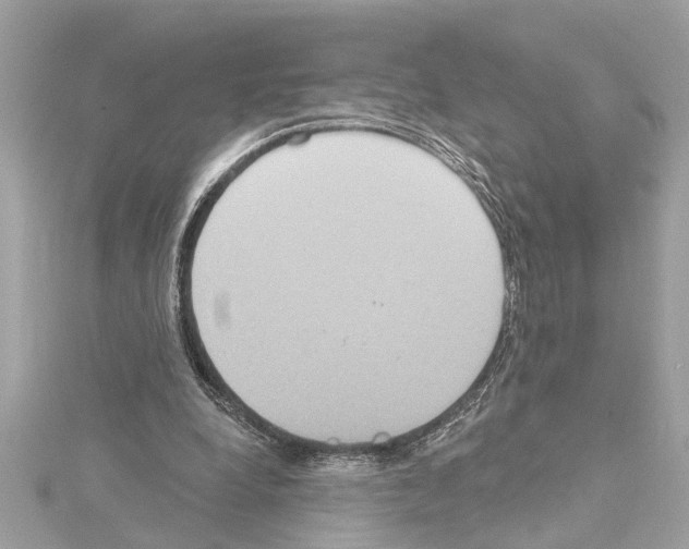 X0000114420248200911271603