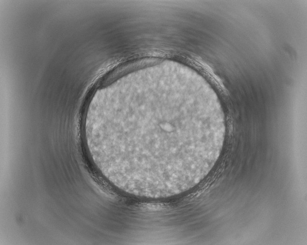 X0000114420250200911271603