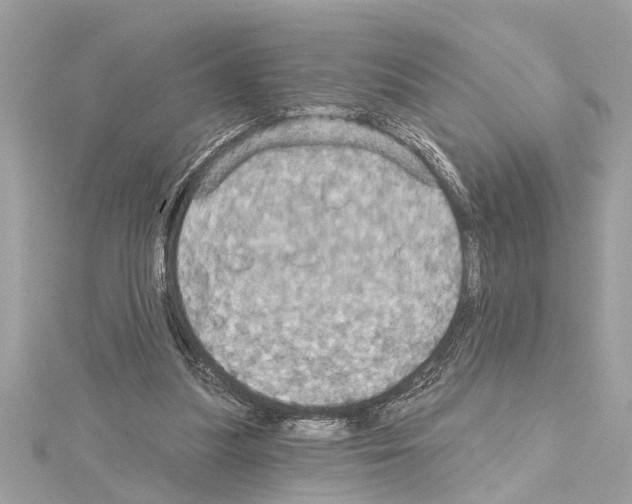 X0000114420251200911271603