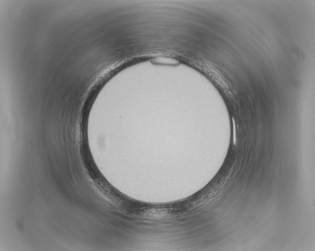 X0000114420252200911271603