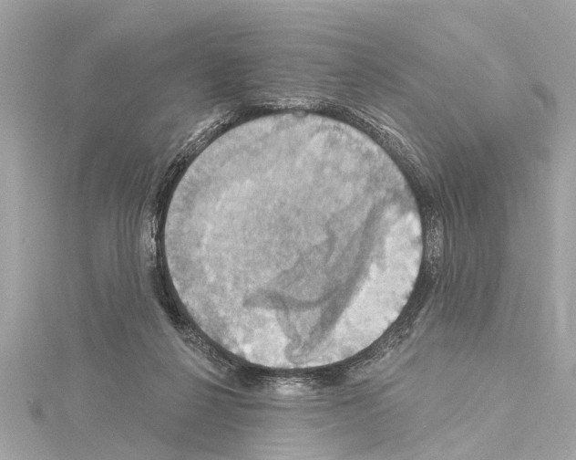 X0000114420264200911271603