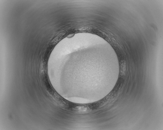 X0000114420272200911271603