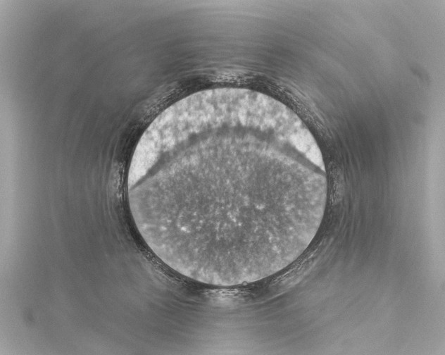 X0000114420273200911271603