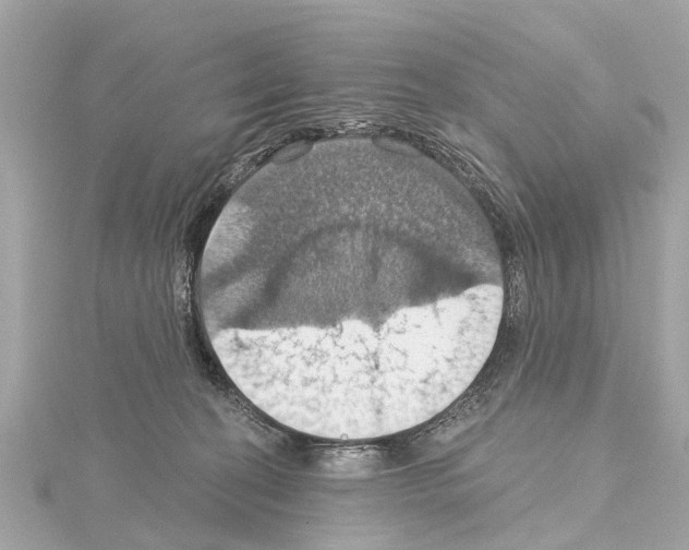 X0000114420274200911271603