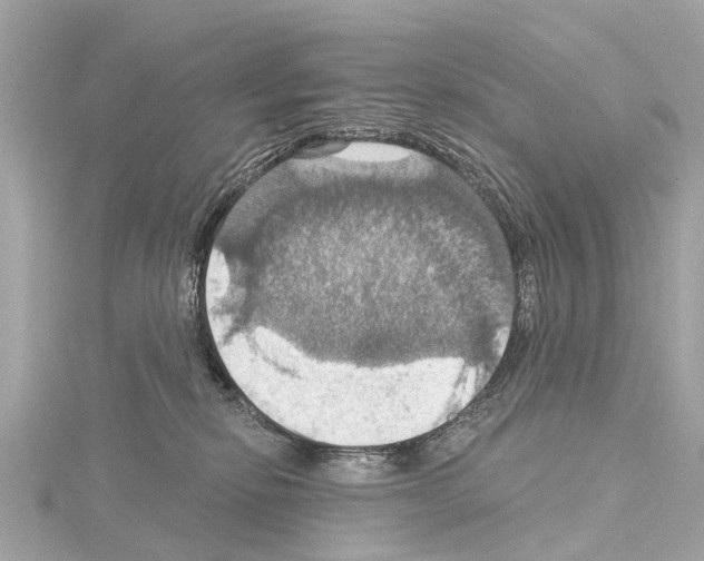 X0000114420278200911271603