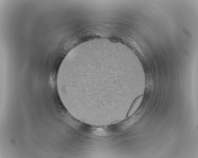 X0000114420285200911271603