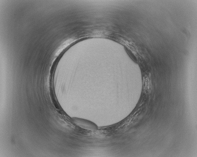 X0000114420292200911271602
