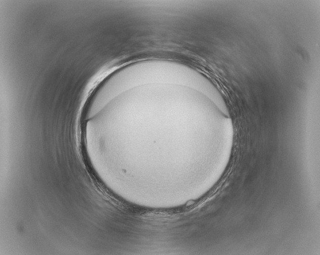 X0000114420294200911271602