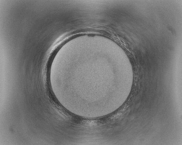 X0000114420295200911271602
