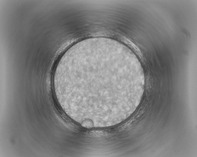 X0000114420298200911271602
