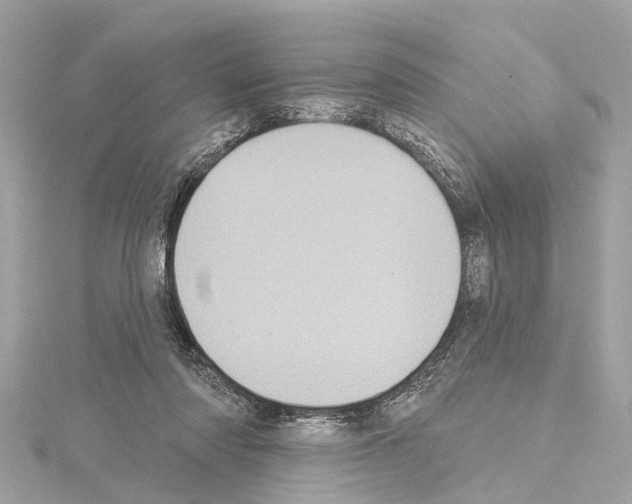 X0000114420310200911271602