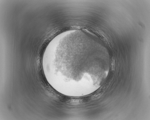 X0000114420314200911271602