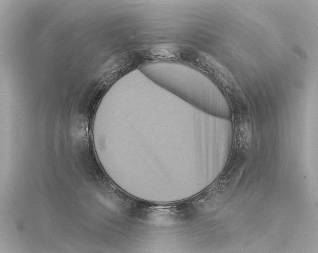 X0000114420320200911271602