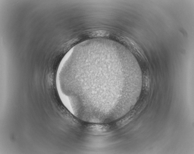 X0000114420326200911271602