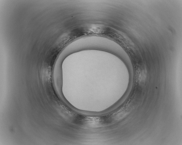 X0000114420328200911271602