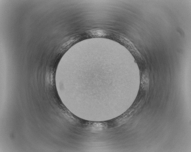 X0000114420330200911271602
