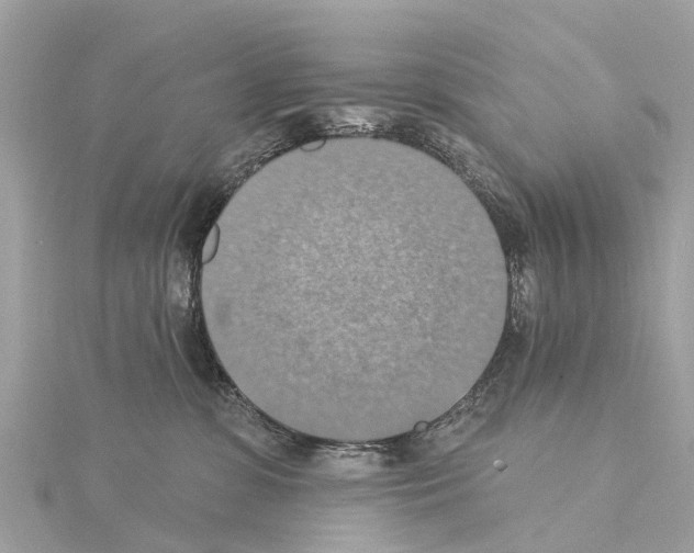 X0000114420331200911271602