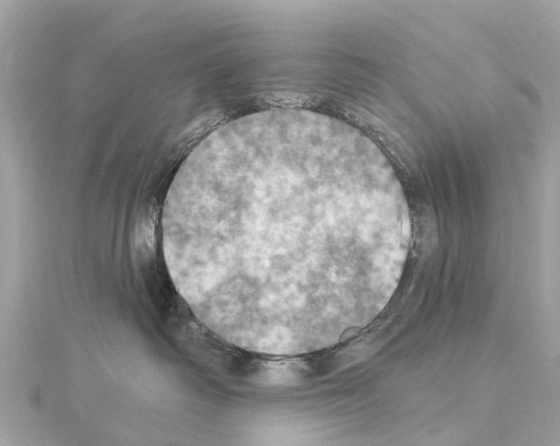 X0000114420334200911271602